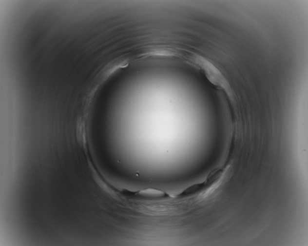 X0000088881433200706151803