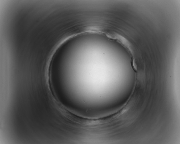 X0000088881435200706151803