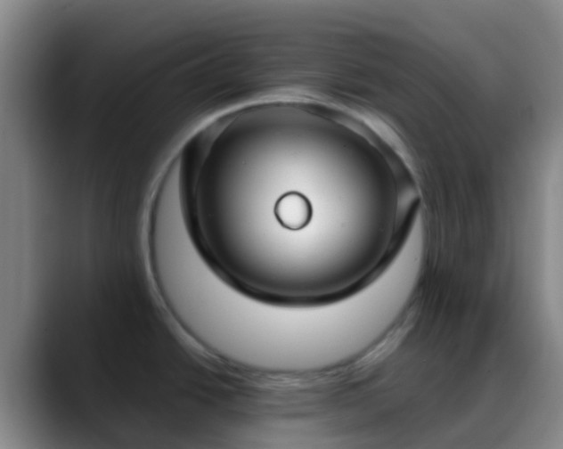 X0000088881438200706151803