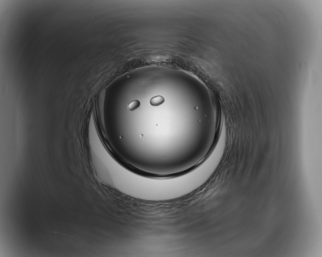 X0000088881441200706151803