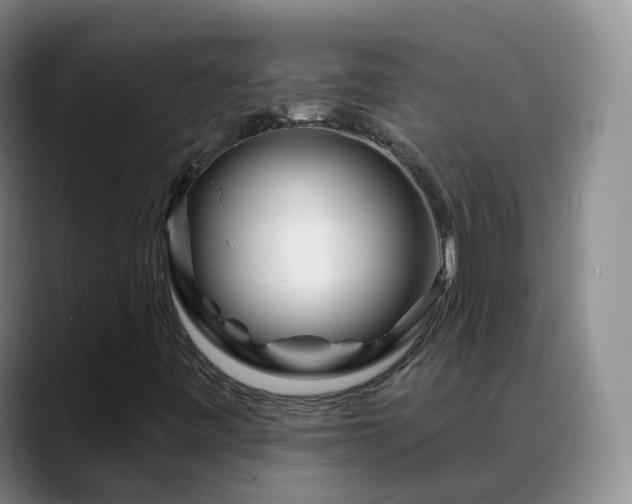 X0000088881443200706151803