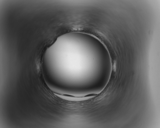 X0000088881444200706151803