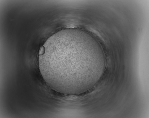 X0000088881446200706151803