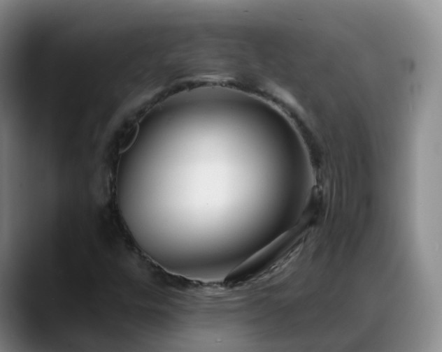 X0000088881448200706151803