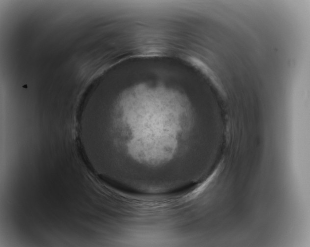 X0000088881449200706151803