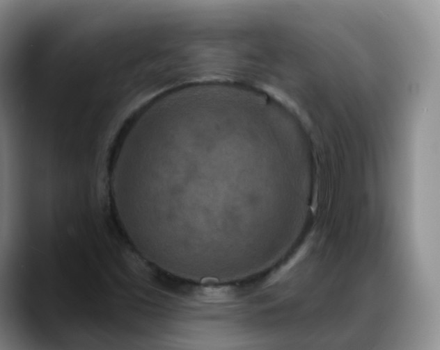 X0000088881453200706151803