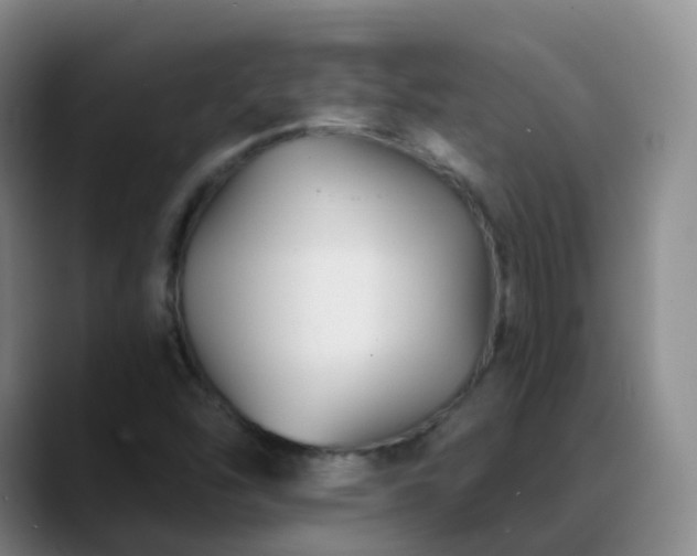 X0000088881454200706151803