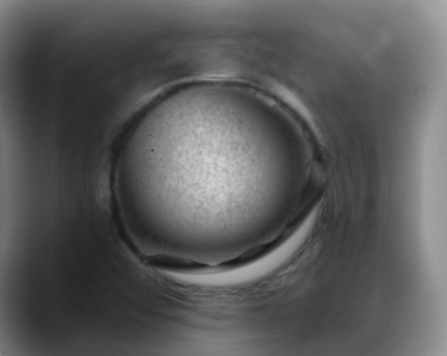 X0000088881456200706151803