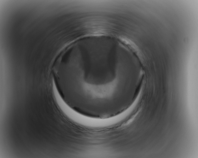 X0000088881457200706151803