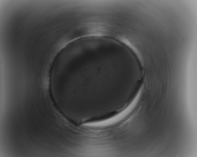 X0000088881459200706151803