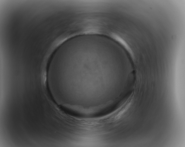 X0000088881461200706151803