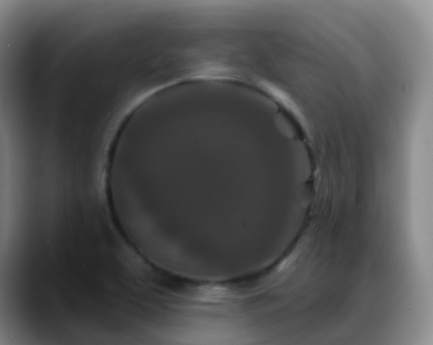 X0000088881463200706151803