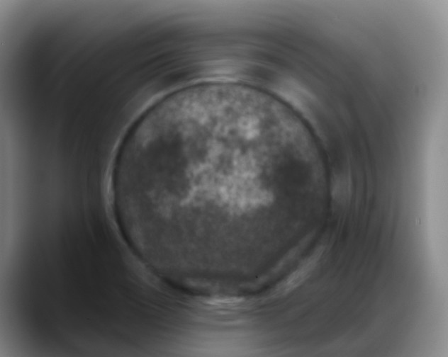 X0000088881466200706151803