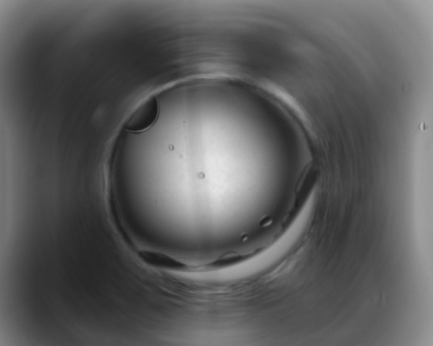 X0000088881467200706151803