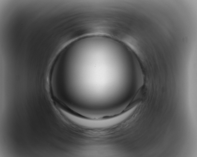 X0000088881468200706151802