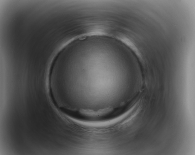 X0000088881469200706151802