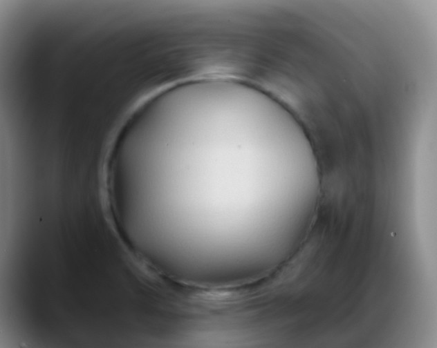 X0000088881470200706151802