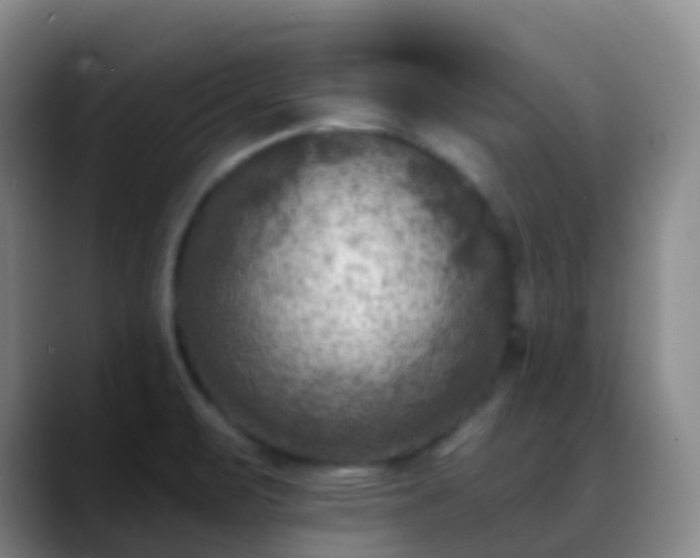 X0000088881471200706151802