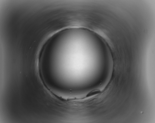 X0000088881472200706151802