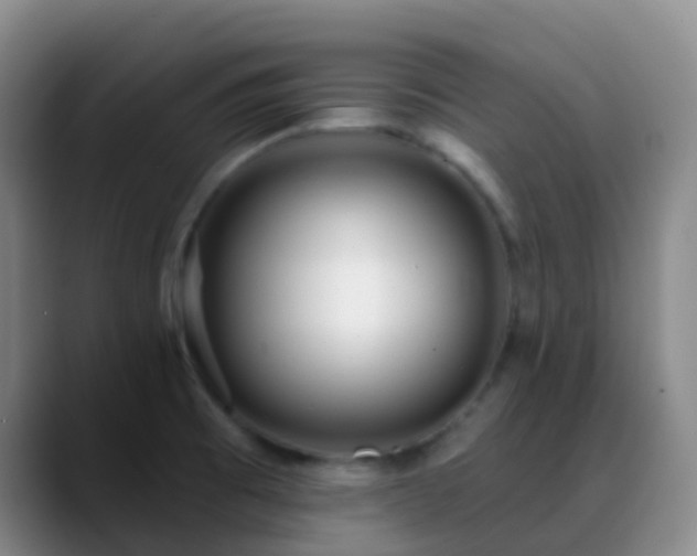 X0000088881473200706151802