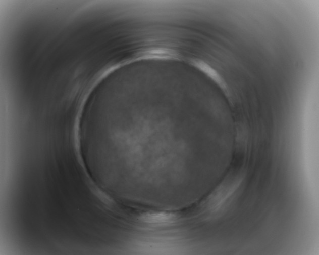 X0000088881474200706151802