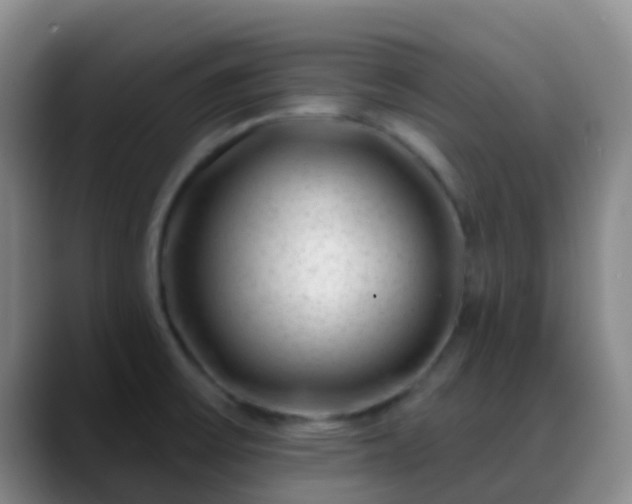 X0000088881475200706151802