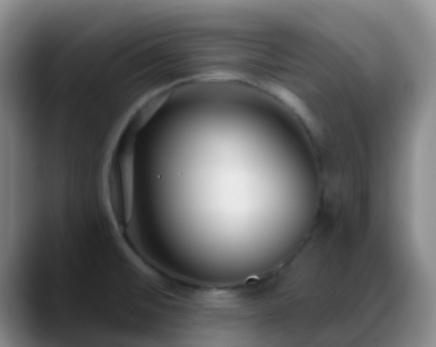 X0000088881476200706151802