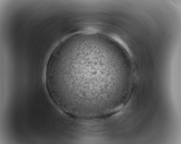 X0000088881477200706151802