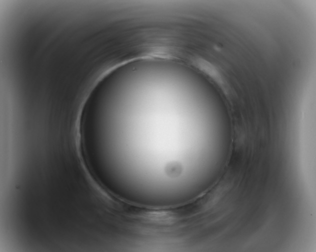 X0000088881479200706151802