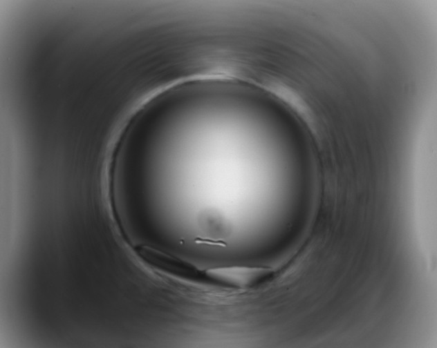 X0000088881480200706151802