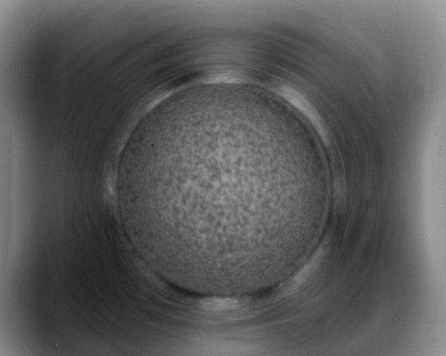 X0000088881481200706151802