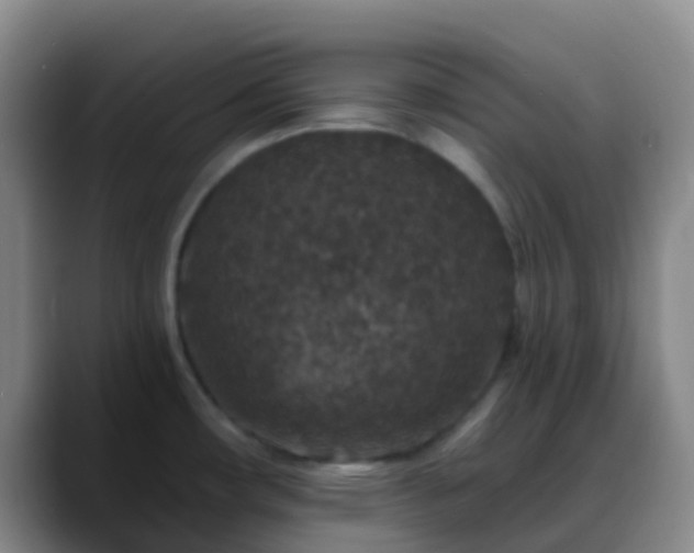 X0000088881482200706151802