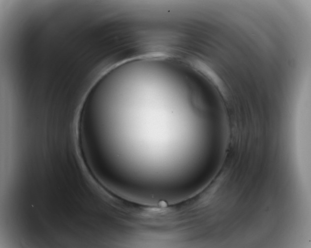 X0000088881483200706151802