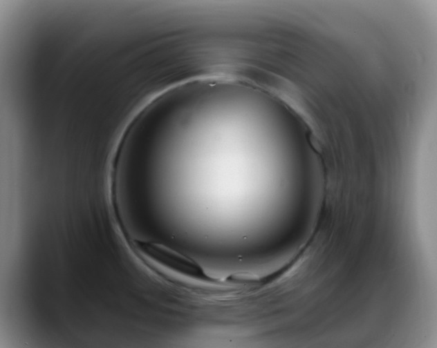 X0000088881484200706151802