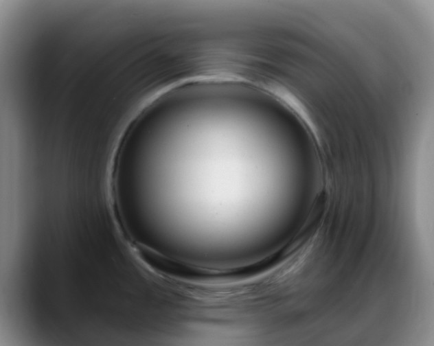 X0000088881485200706151802