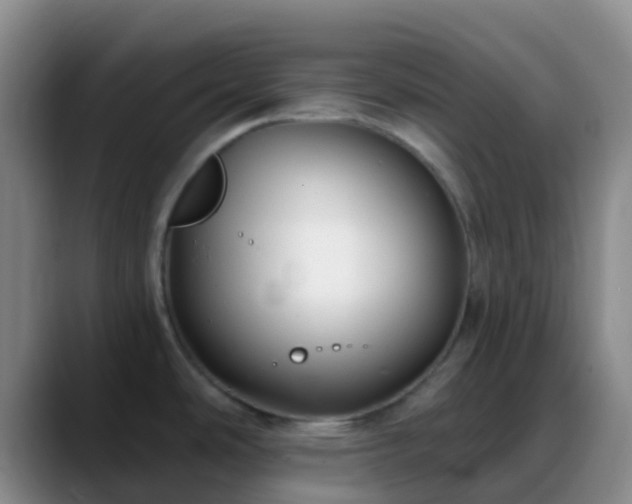 X0000088881486200706151802