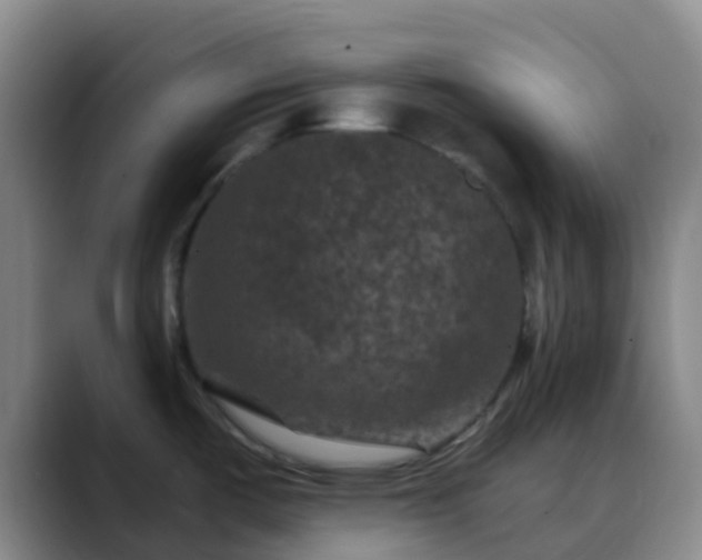 X0000088881487200706151802