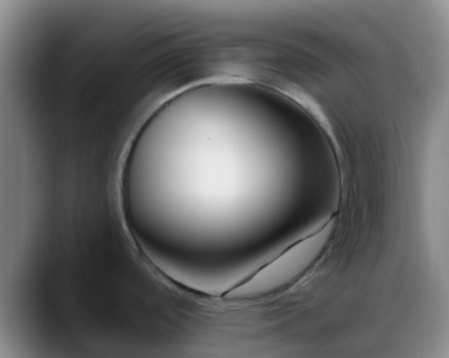 X0000088881488200706151802