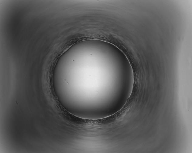 X0000088881489200706151802