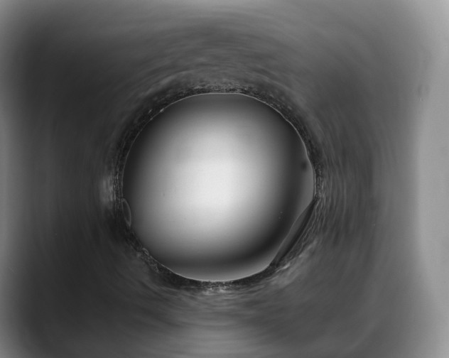 X0000088881490200706151802