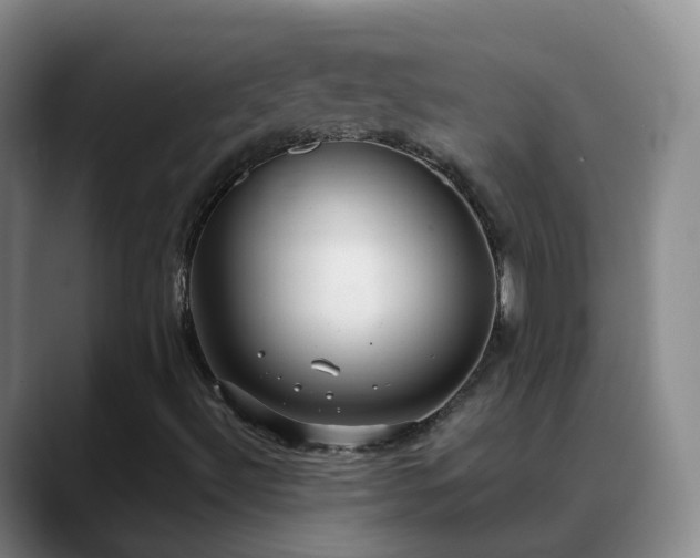 X0000088881492200706151802