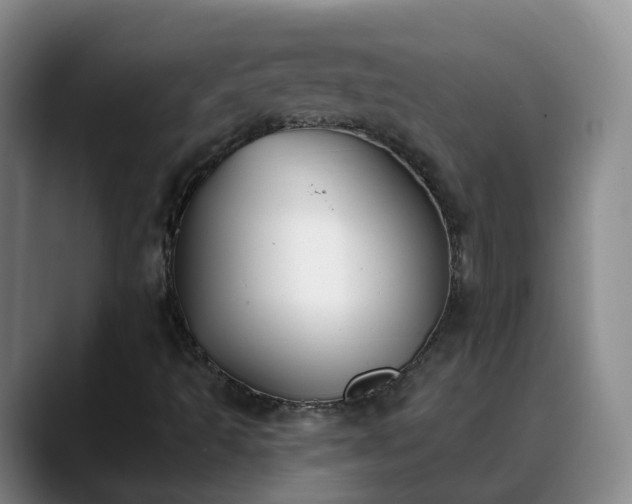 X0000088881493200706151802