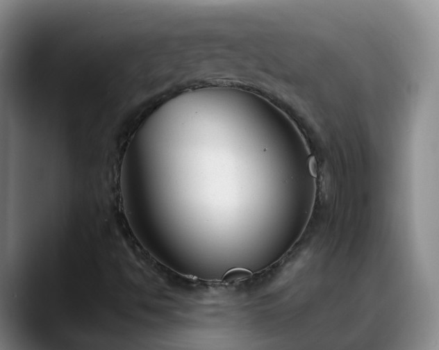 X0000088881494200706151802