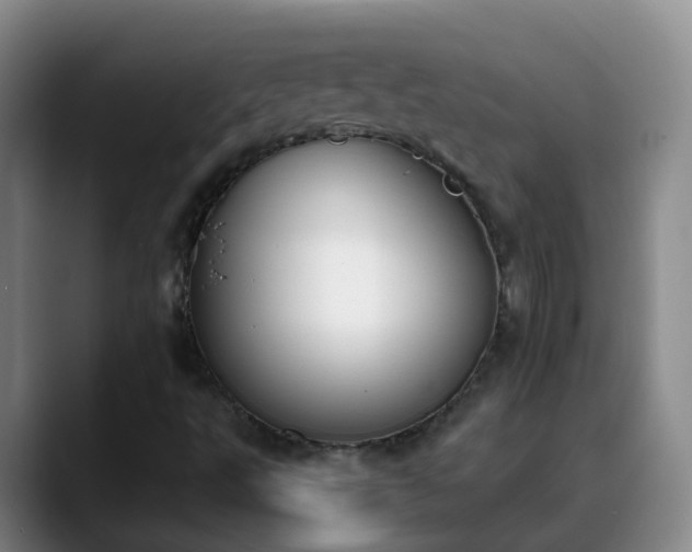 X0000088881495200706151802