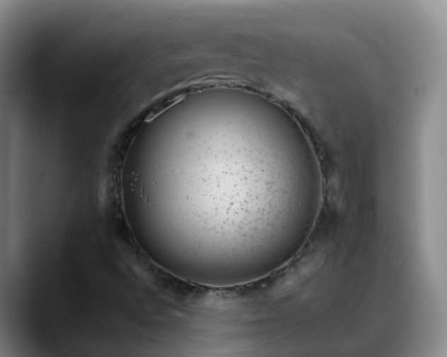 X0000088881496200706151802