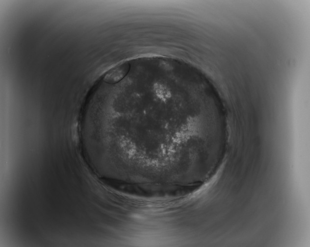 X0000088881497200706151802