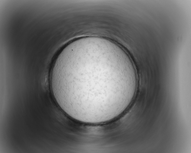 X0000088881498200706151802