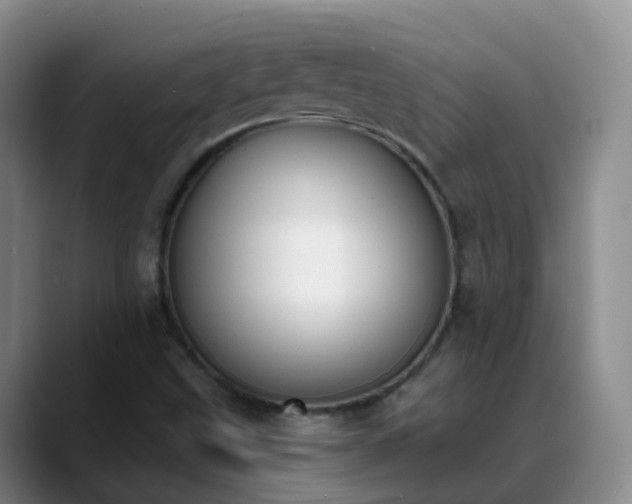 X0000088881499200706151802