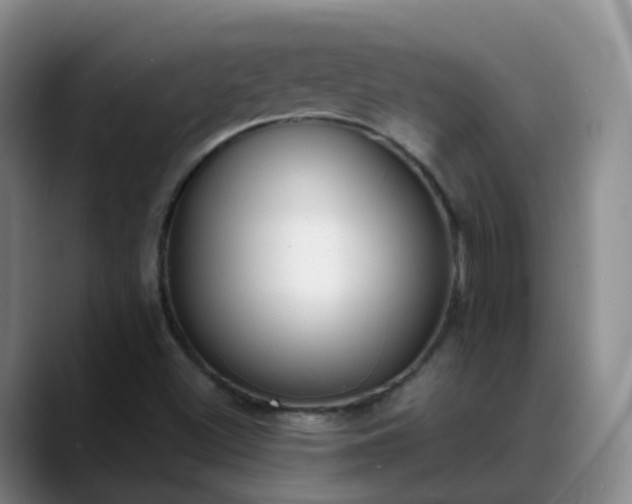 X0000088881500200706151802