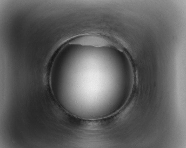 X0000088881501200706151802